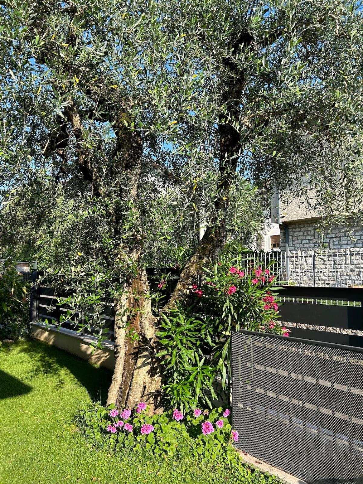 Appartamenti Rossini Bardolino Exterior photo